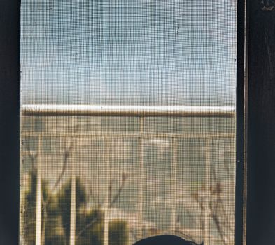 Mosquitero ajustable para ventana